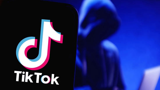 Ciberestafas y filtración de datos personales a través de TikTok
